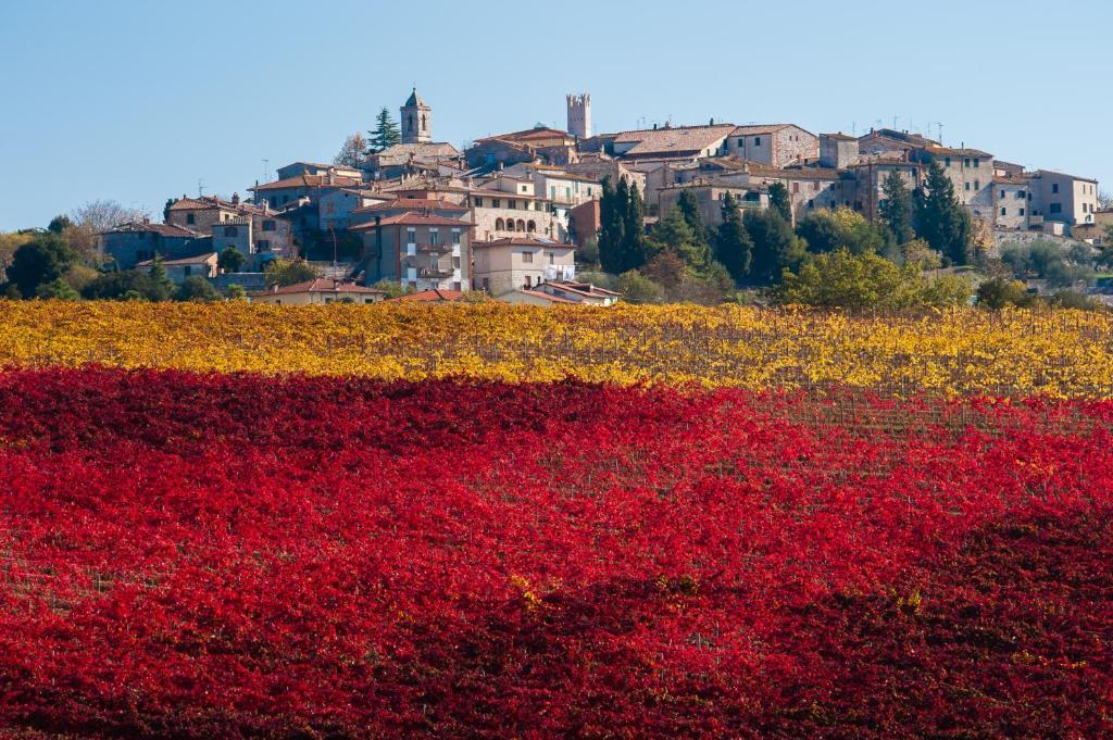 Hotel La Piccola Stazione Torrita di Siena Dış mekan fotoğraf